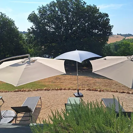 Metairie De Charme Avec Piscine - Tarn